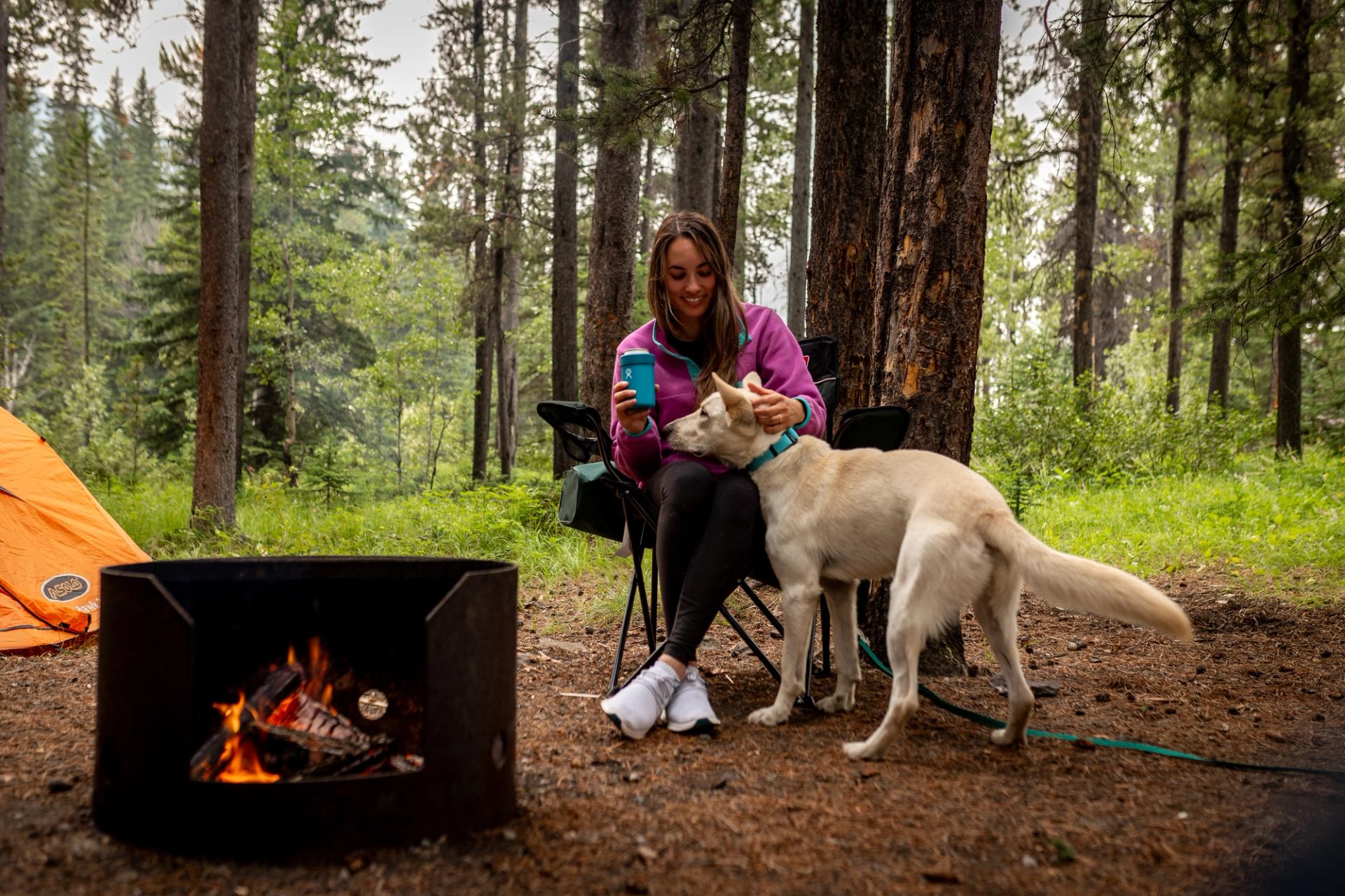 Camper sits by forest campfire, holding a mug and petting a standing dog.