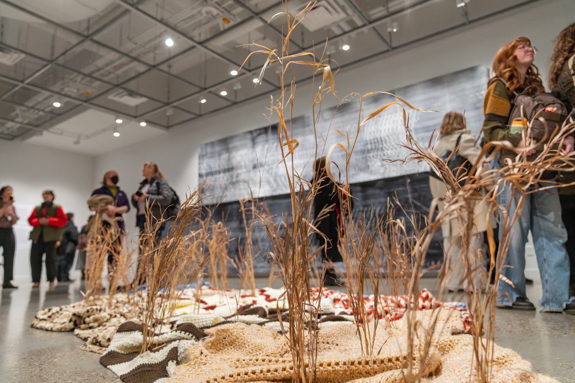 A closeup of an installation featuring brown grass stalks growing from crocheted blankets.
