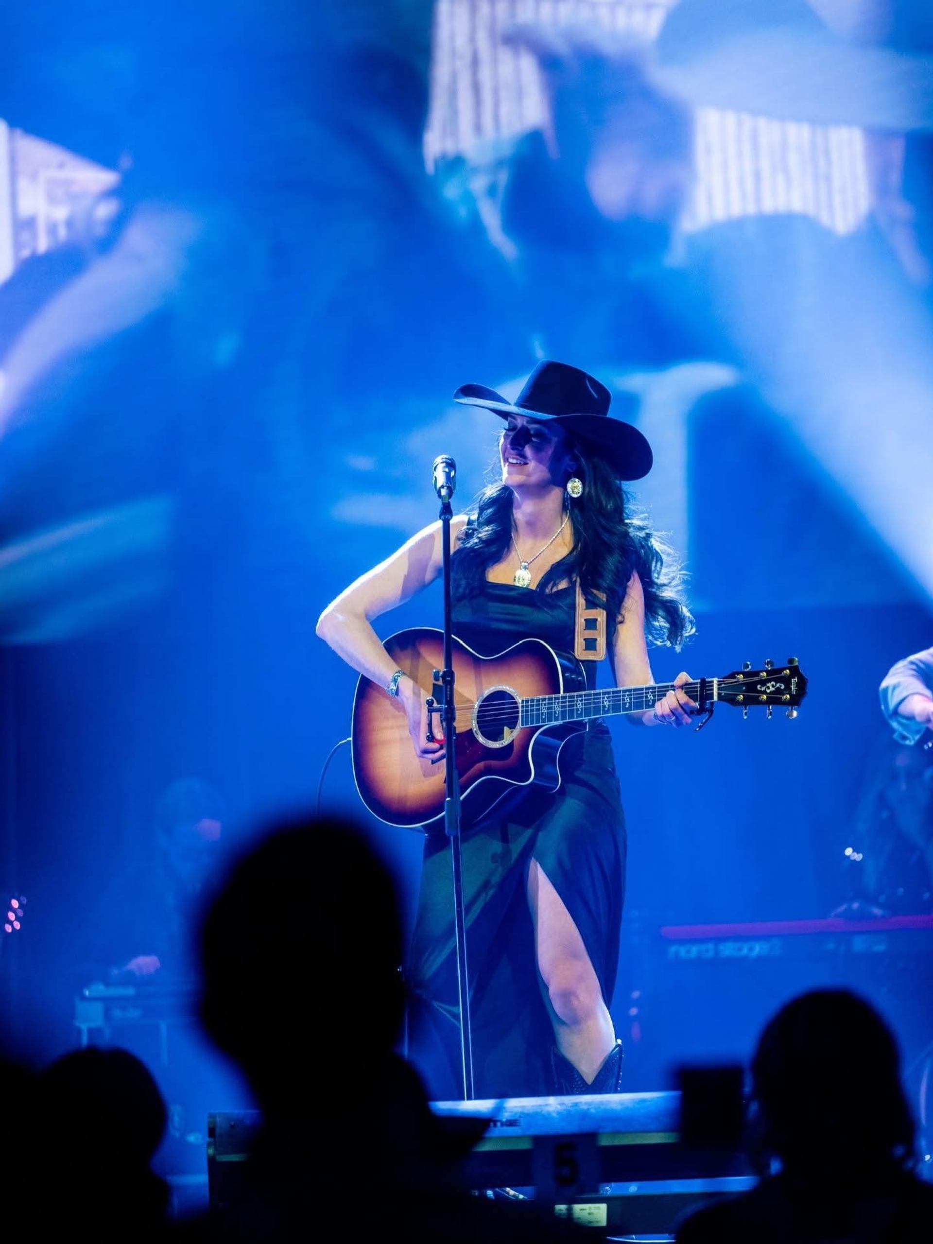 Country musician in cowboy hat plays acoustic guitar on blue-lit stage before audience silhouettes.