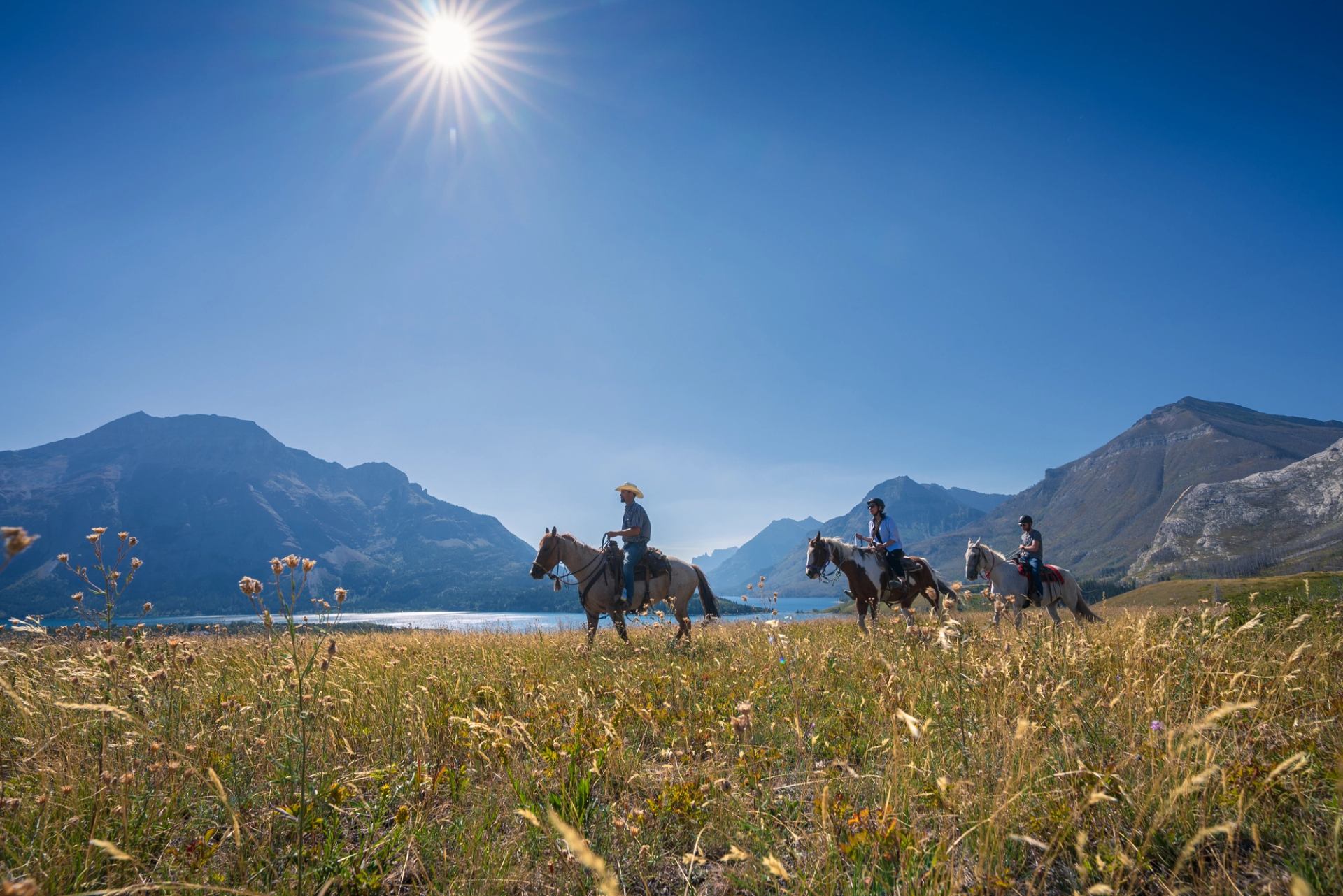 Riders on horseback cross a grassy field beside a lake and mountain range under sun.