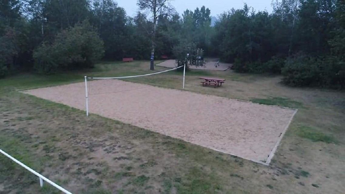 Outdoor volleyball court with net, trees, and picnic tables in a grassy park setting.