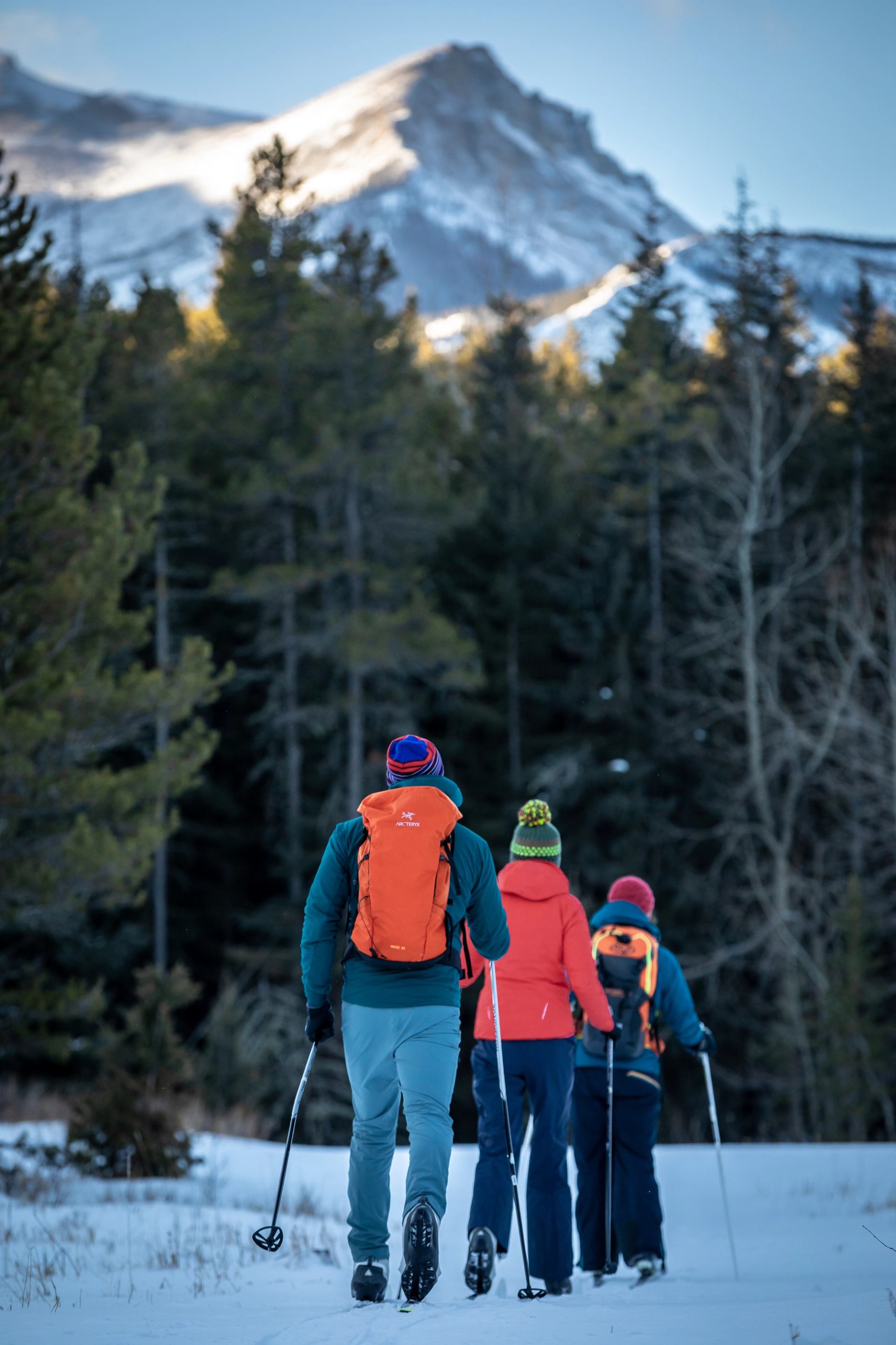 Three people cross-country skiing in Castle Provincial Parks.