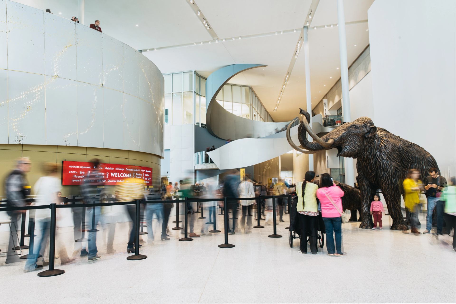 Museum lobby with large mammoth sculpture as visitors line up and take photos.