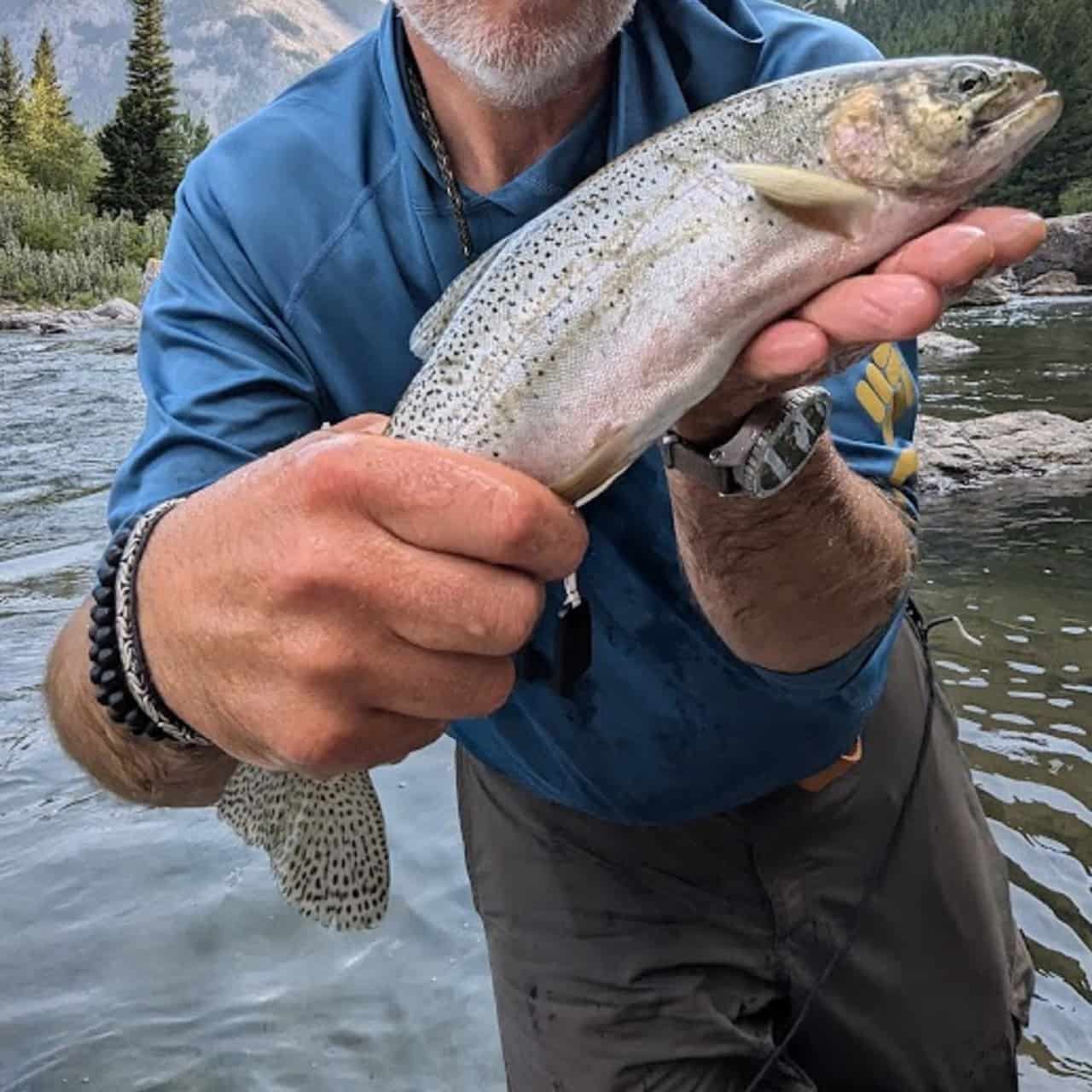 alberta fly fishing trip