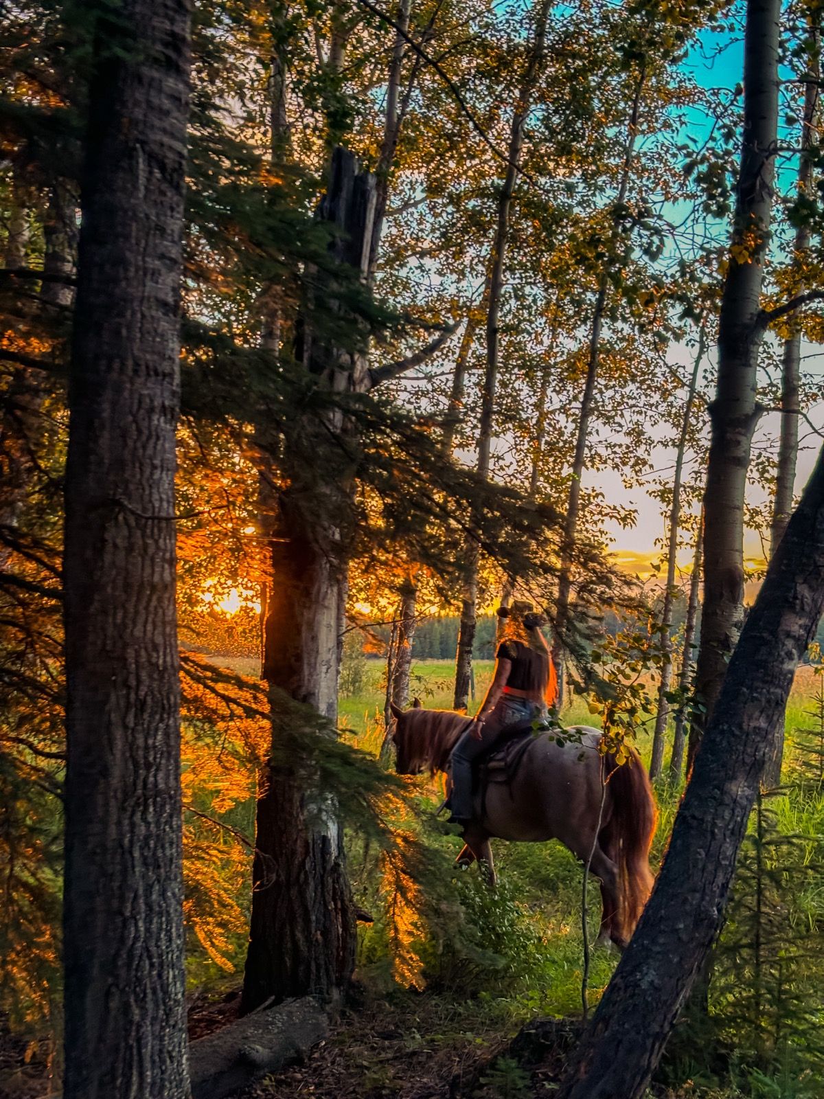 Wildhorse Ranch & Outfitters | Canada's Alberta thumbnail