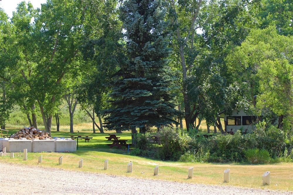 Picnic area at Taber Municipal Park with tall trees, green grass, and a woodpile near a gravel road.