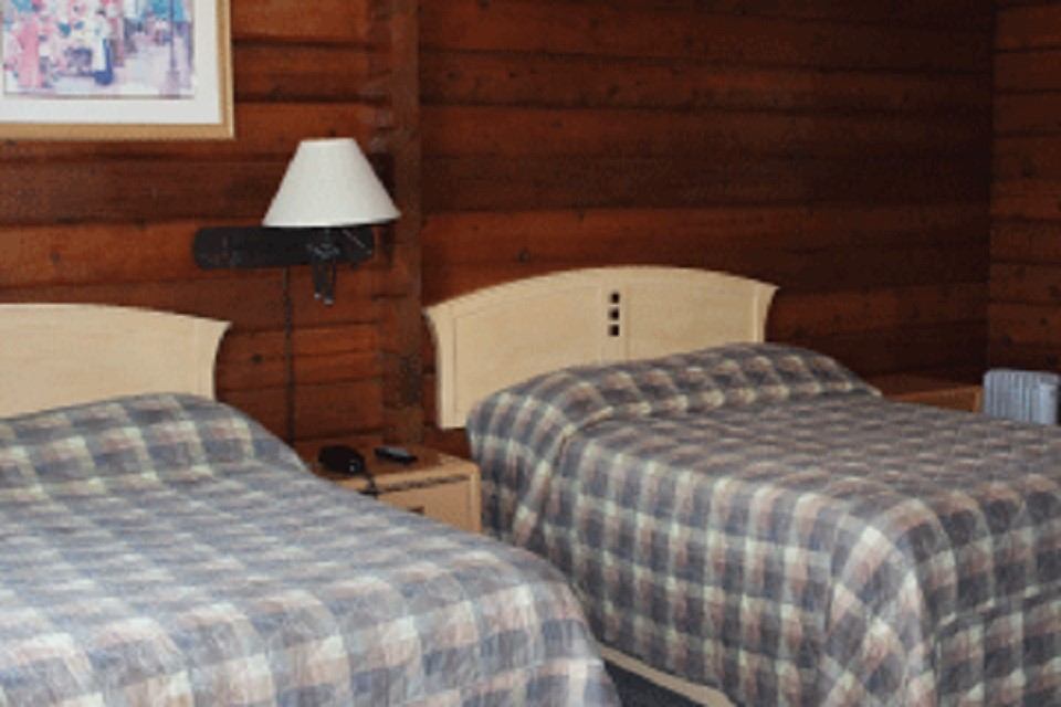 Twin beds in a rustic log-walled room with lamp, phone, and framed art.