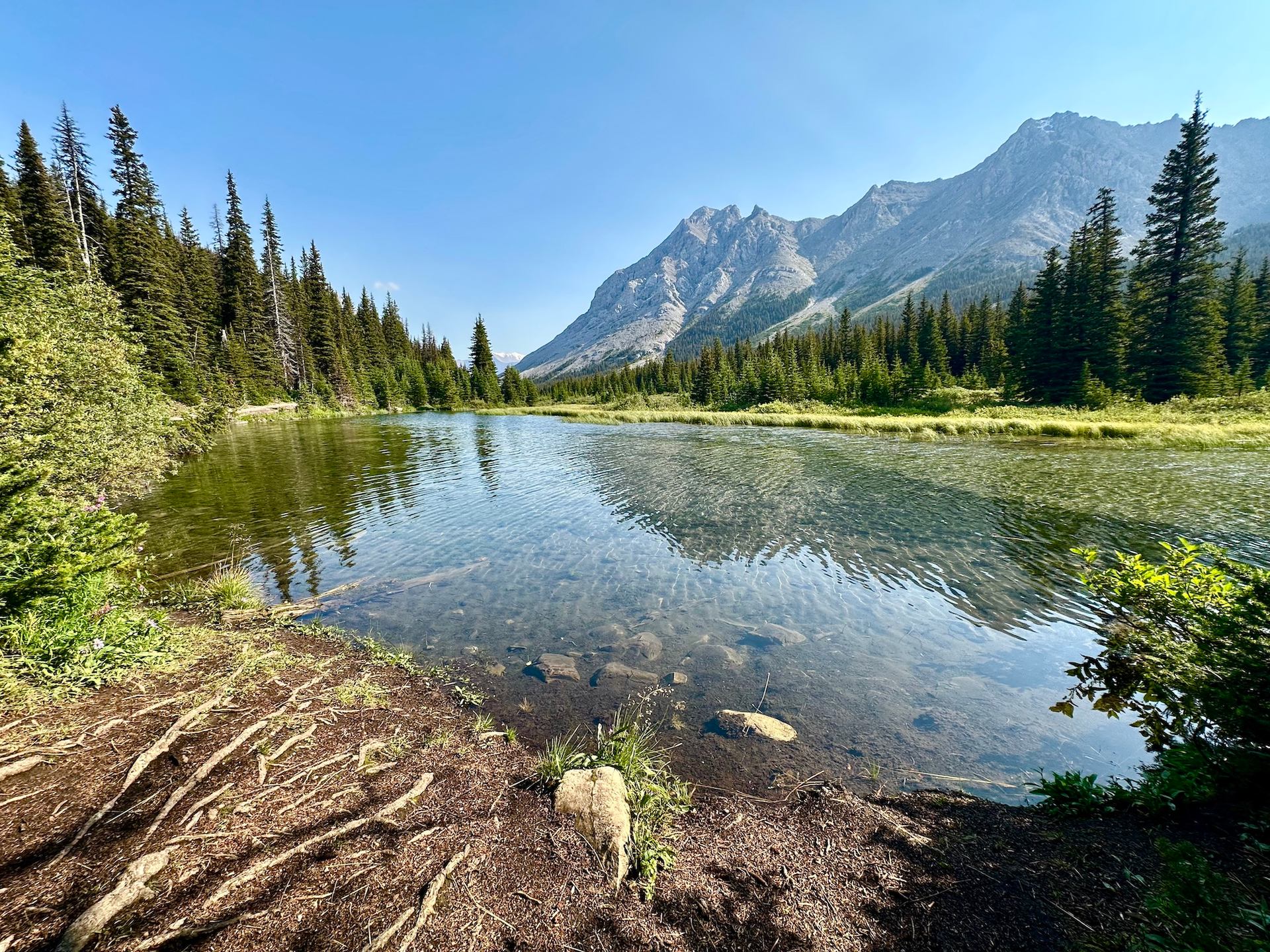 Mountain lake with clear water, rocky shore and dense evergreen forest under blue sky.