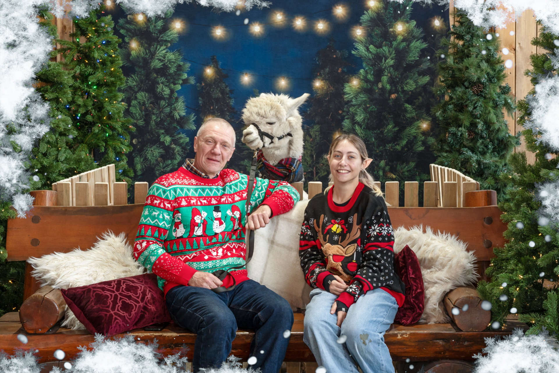 Two people with a alpaca in holiday sweaters at Granary Road, surrounded by Christmas decor.
