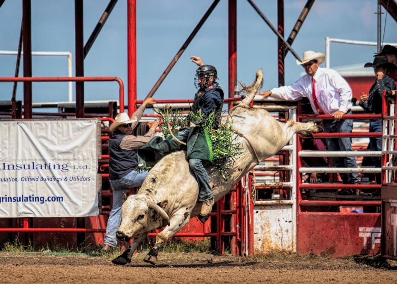 Rodeo rider on bucking bull leaving chute, surrounded by officials and metal fencing.
