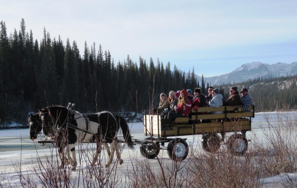 A wagon full of people being pulled by two horses