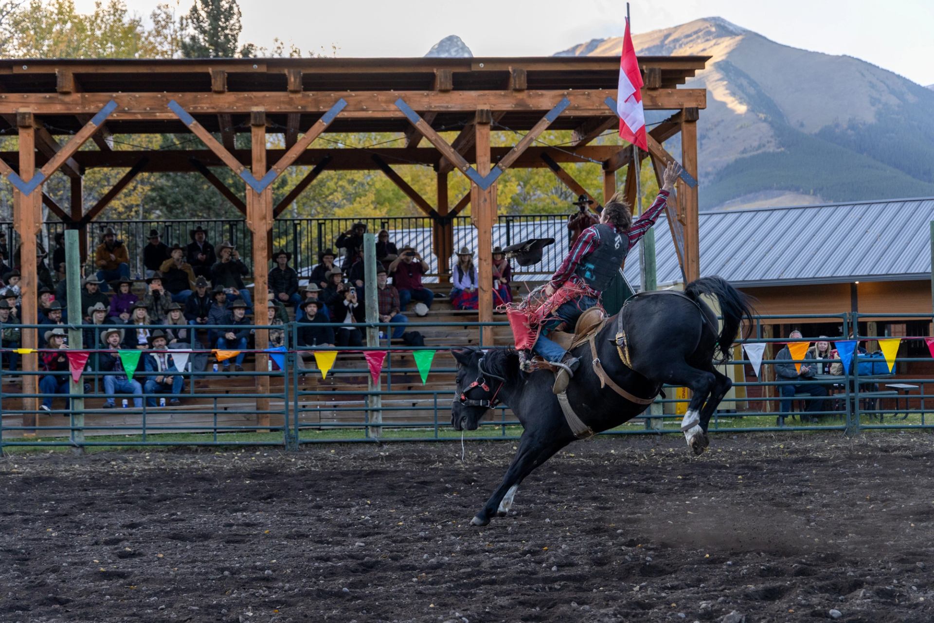 Rider on a bucking horse holding a Canadian flag at a rodeo.