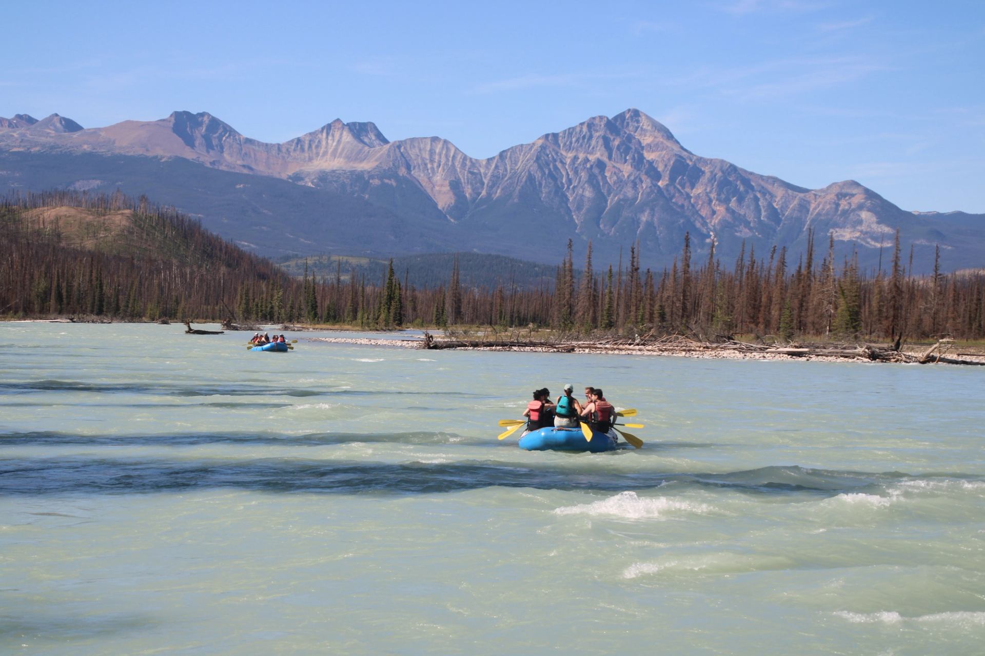 Rafting group paddling on a wide, pale-blue river with mountains in the background.