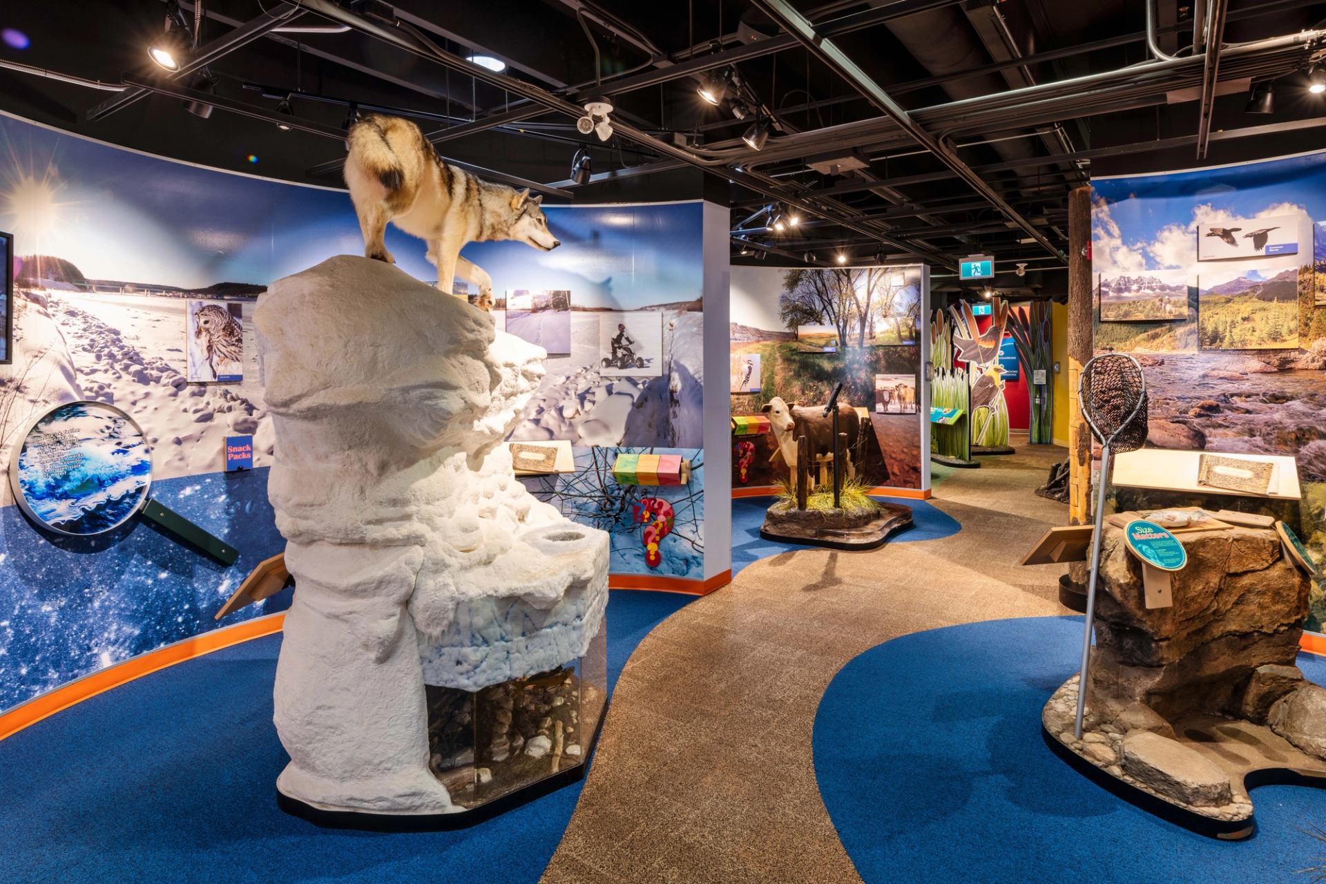 Colorful indoor exhibit with wildlife displays, including a wolf model on a snowy rock.