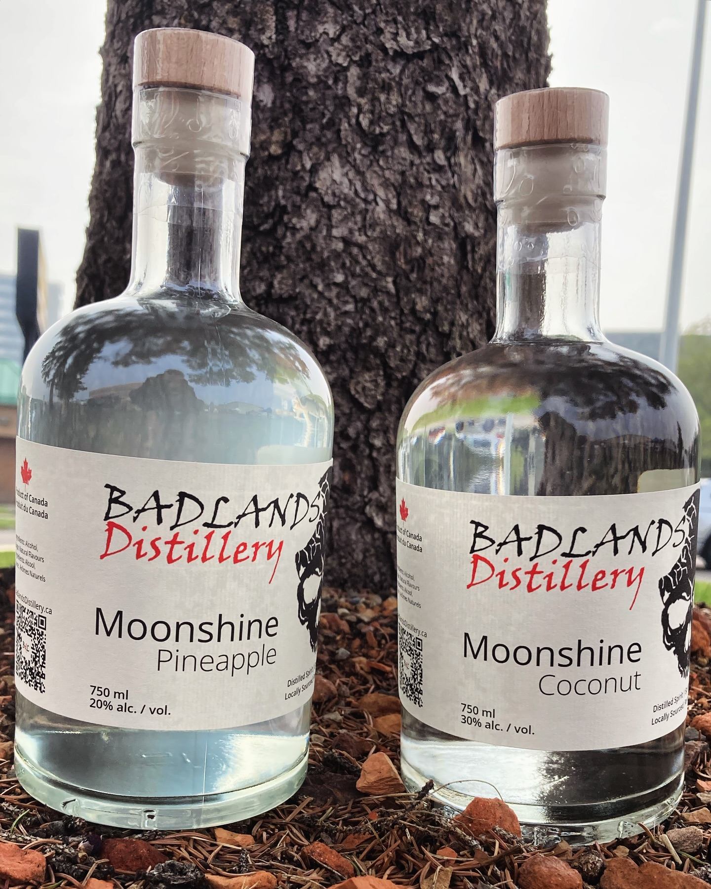 Two bottles of moonshine. Pineapple and Coconut.