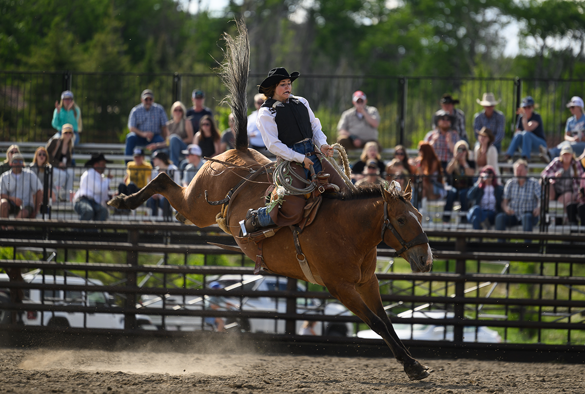 Ranch bronc rider mid-buck as the horse kicks high with spectators watching from the stands.