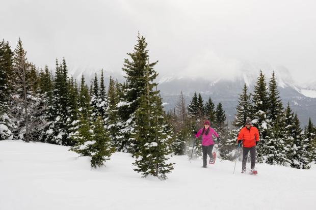 Couple on a guided snowshoe tour at Lake Louise Ski Resort