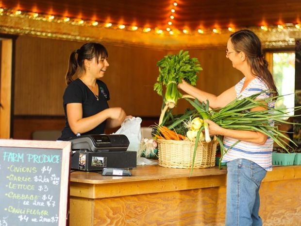 A women buying fresh, local produce at The Saskatoon Farm.