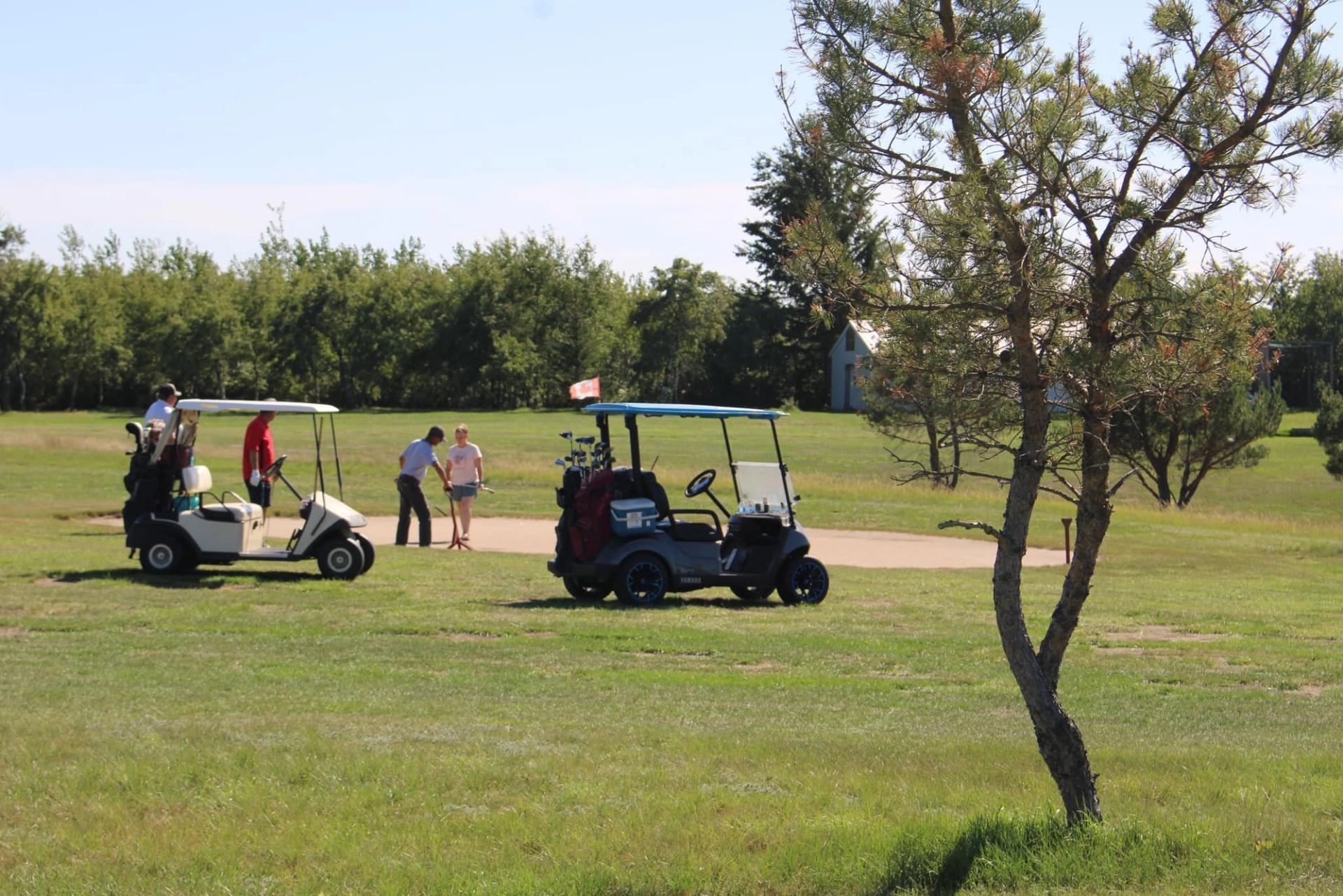 Two golf carts parked on the course with golfers standing nearby on green grass