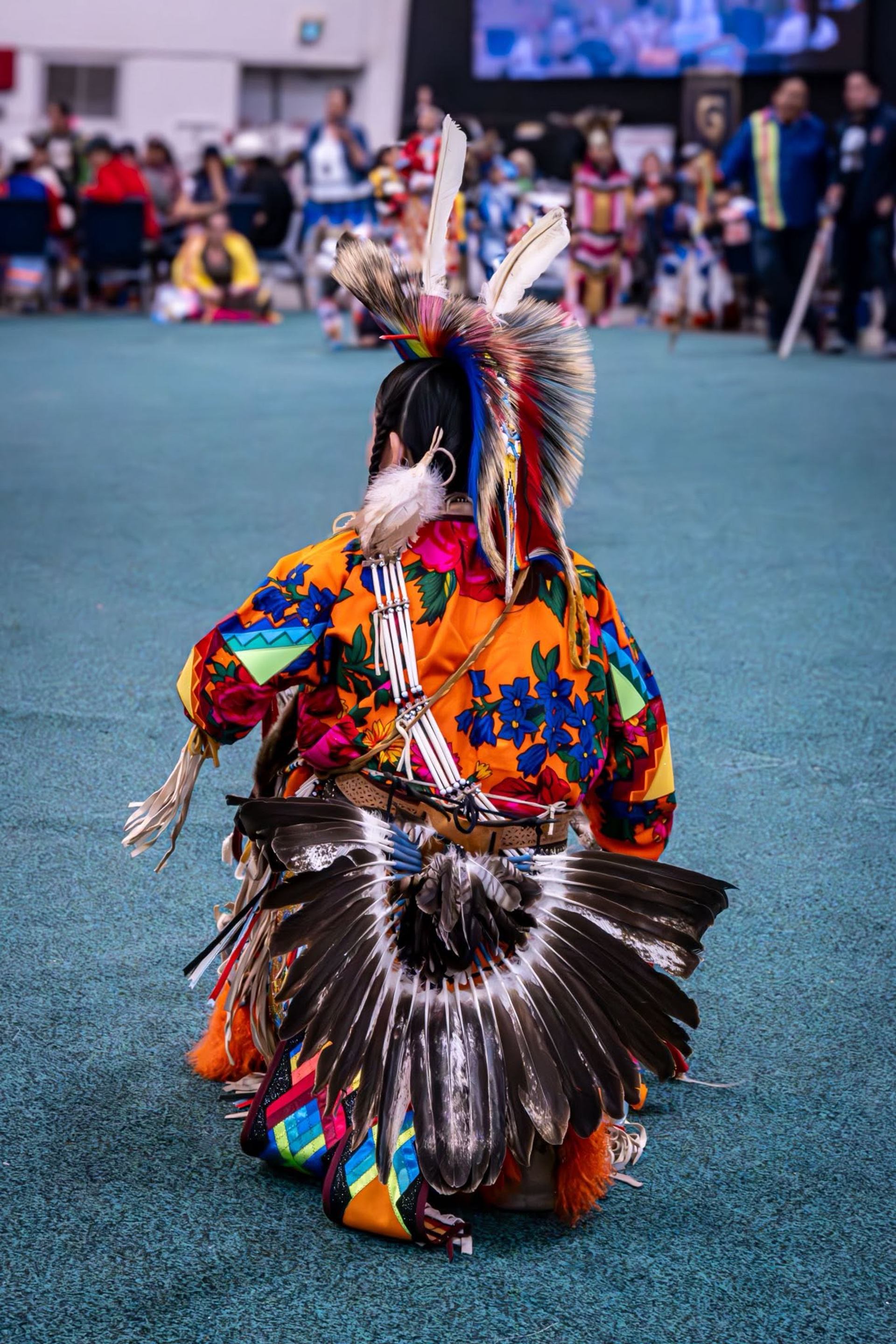 Powwow dancer in colourful regalia with feather bustle kneels on arena floor.