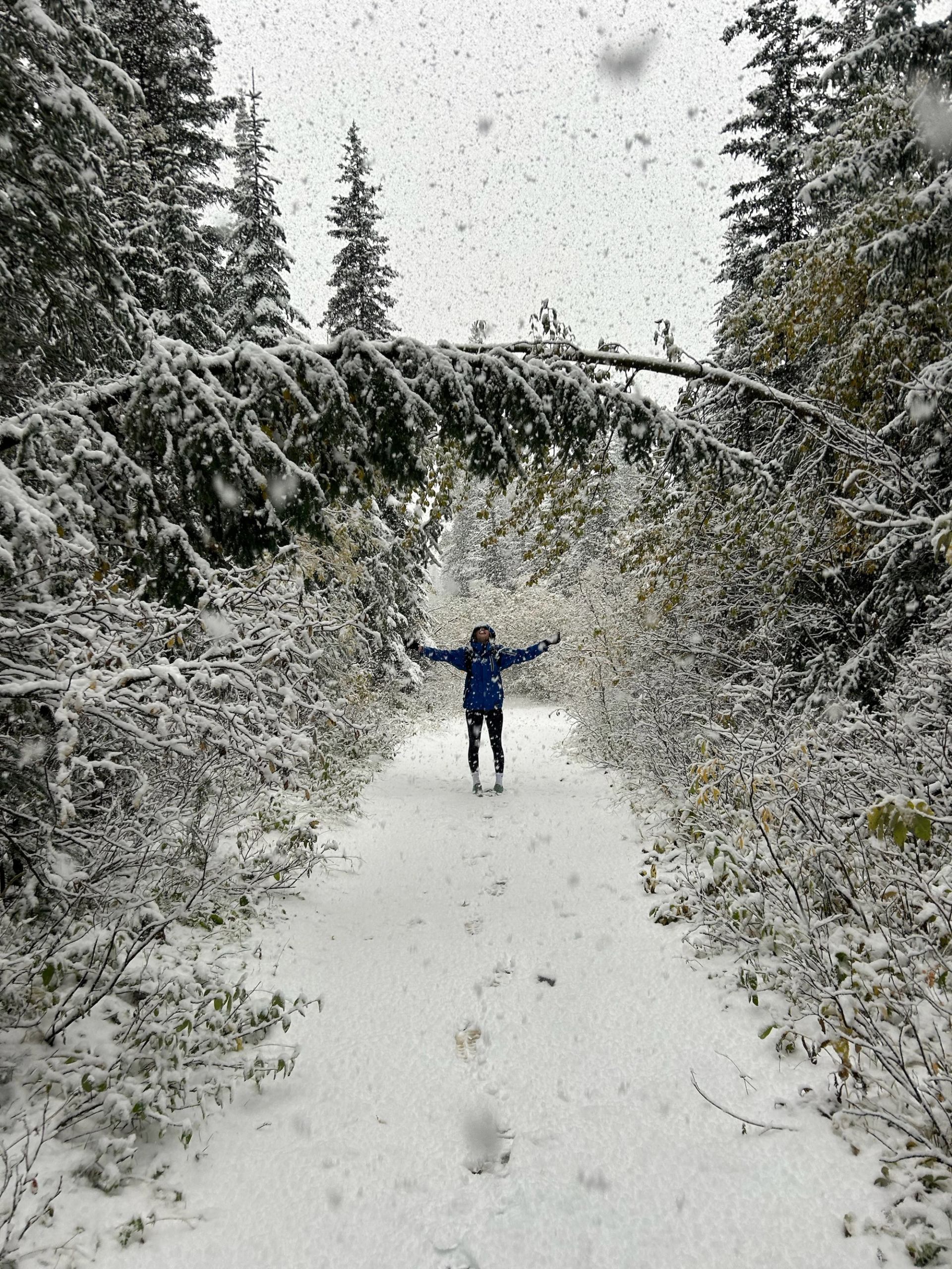 A hiker standing on a snow covered forest trail with arms raised.