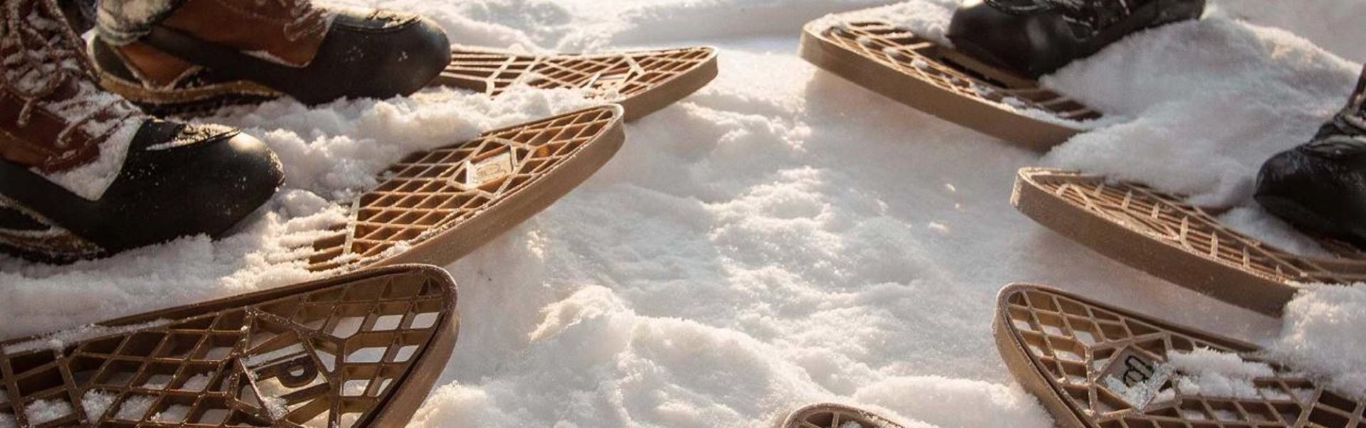Snowshoeing in the park