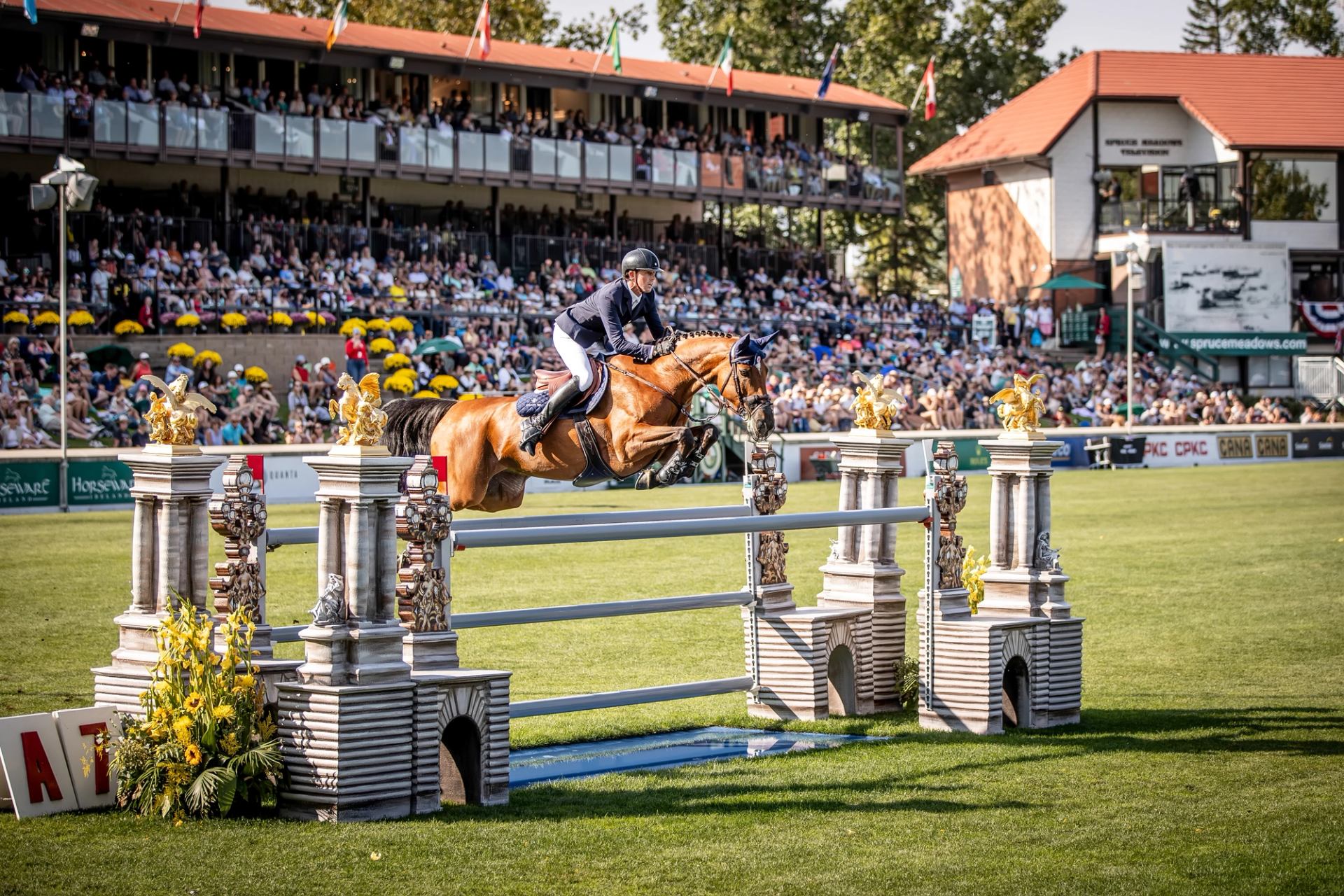 Horse and rider clearing an ornate jump at Spruce Meadows, with packed grandstands and flags in the background.