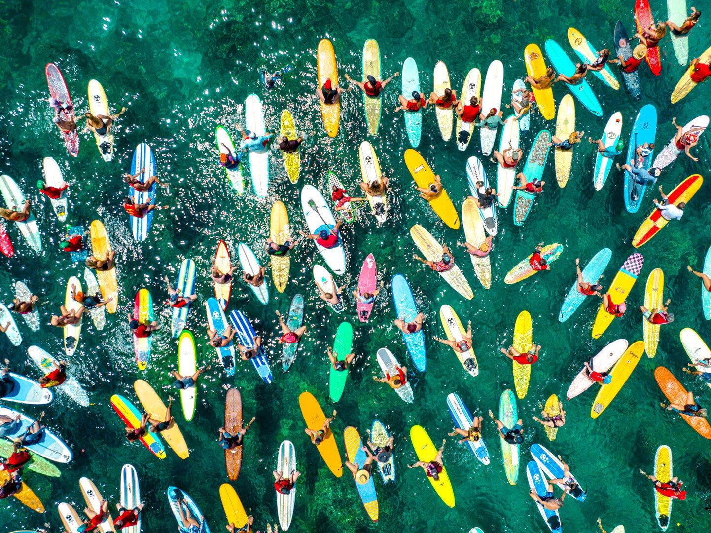 Kayakers with bright surfboards paddle on green water during One Ocean Film Tour event.