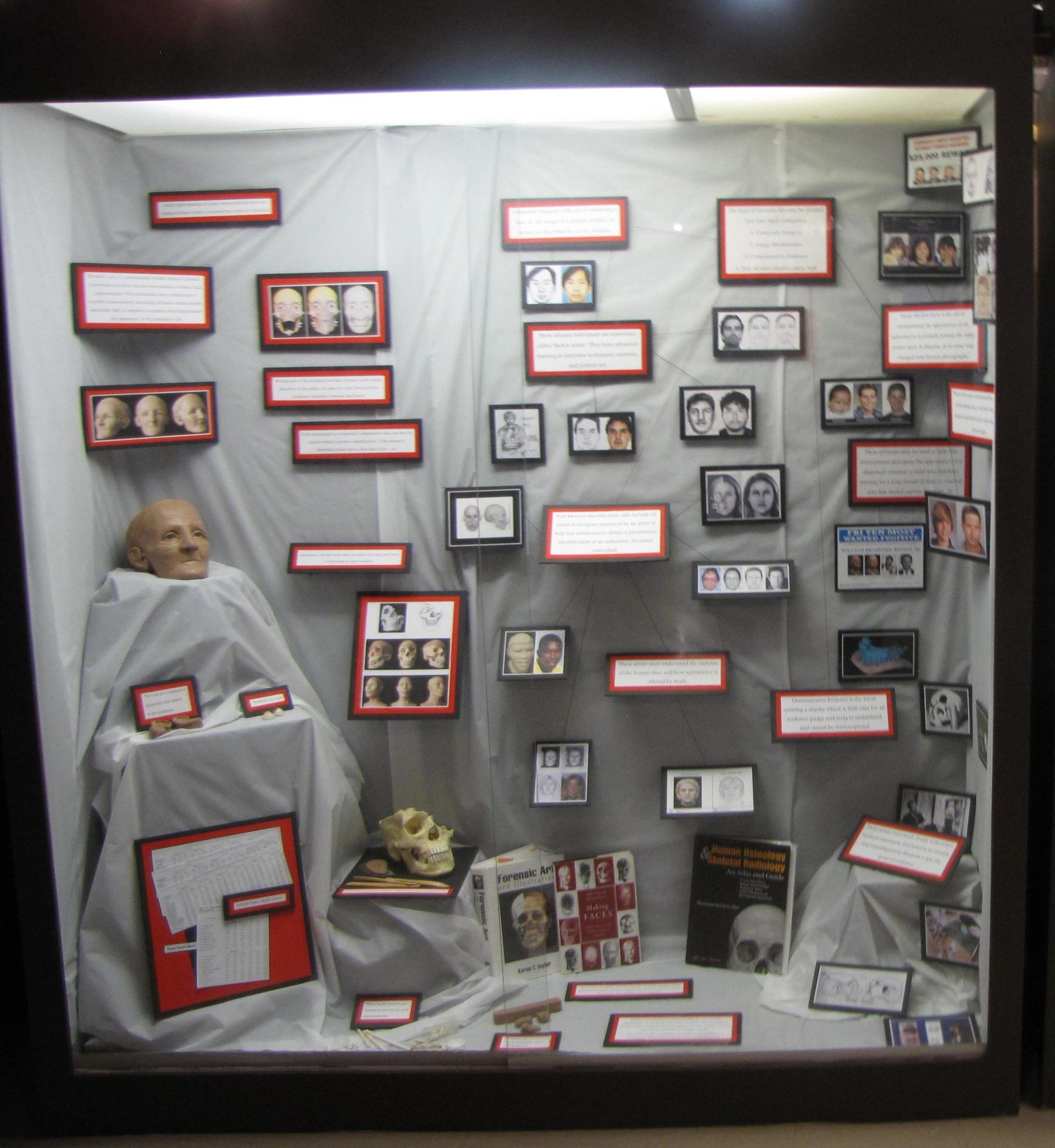 Museum display case with assorted historical artifacts, labels, and photographs arranged for viewing.
