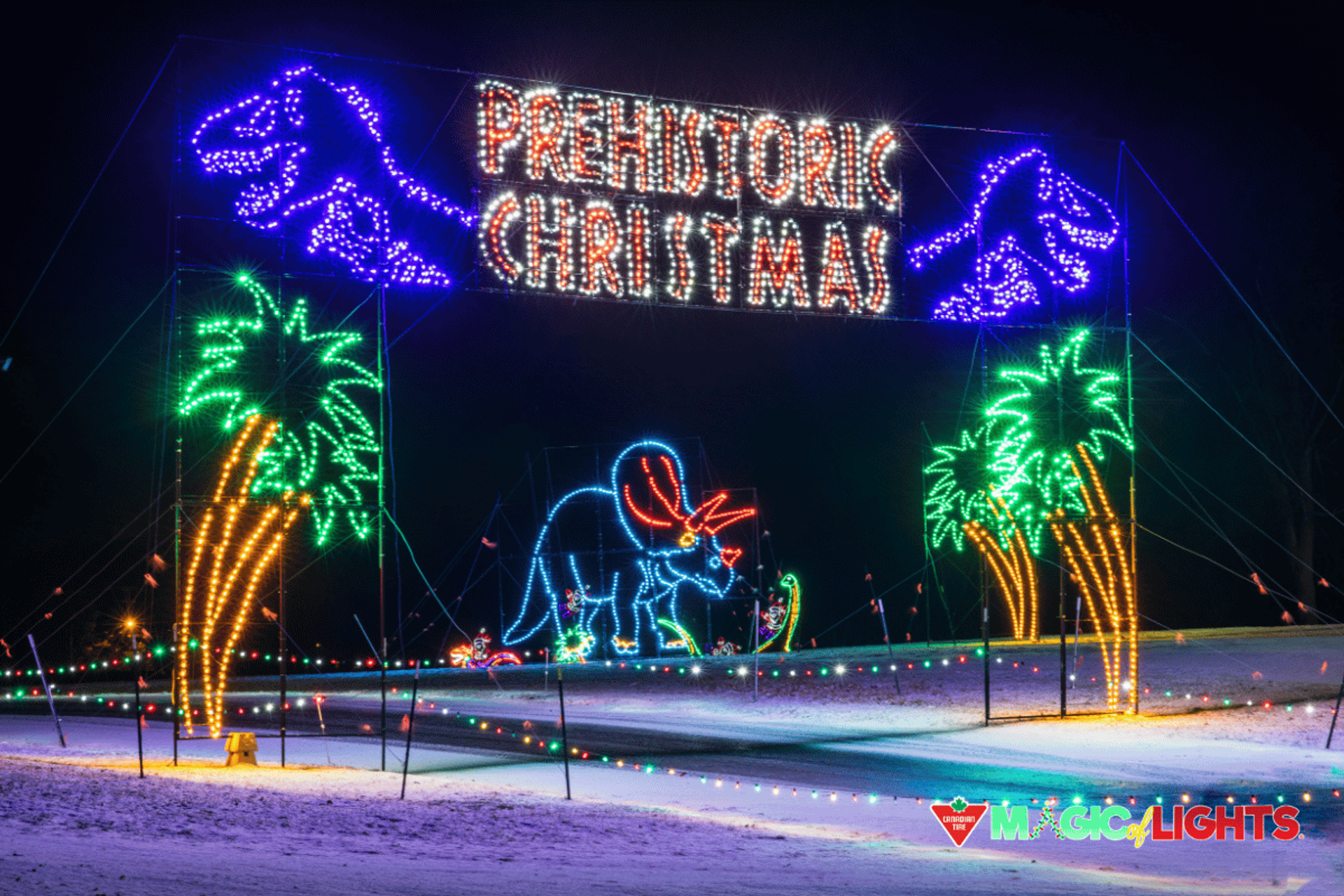 Prehistoric Christmas light display with dinosaurs and palm trees at Magic of Lights.
