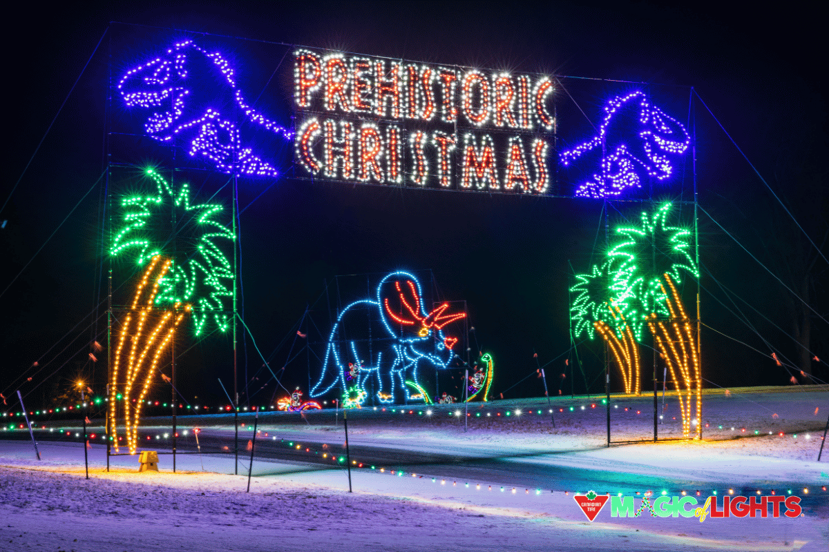 Prehistoric Christmas light display with dinosaurs and palm trees at Magic of Lights.