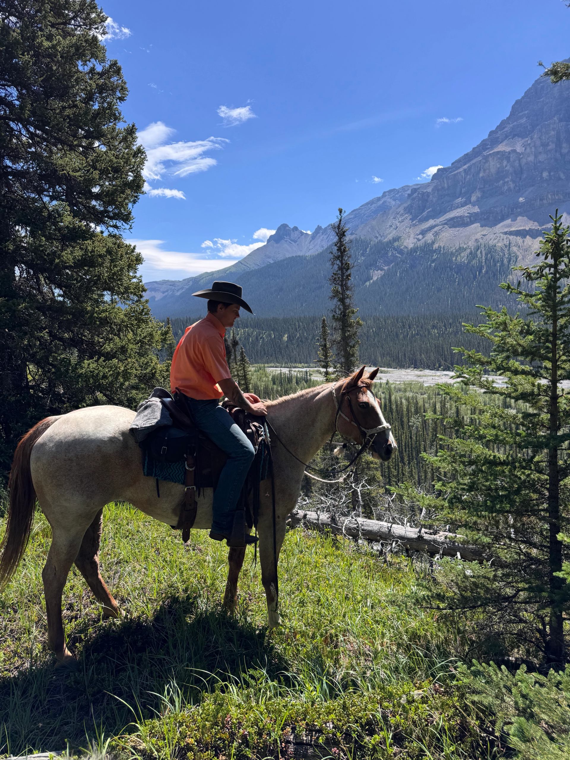 A rider on horseback pausing in a forested area with towering mountains beyond.