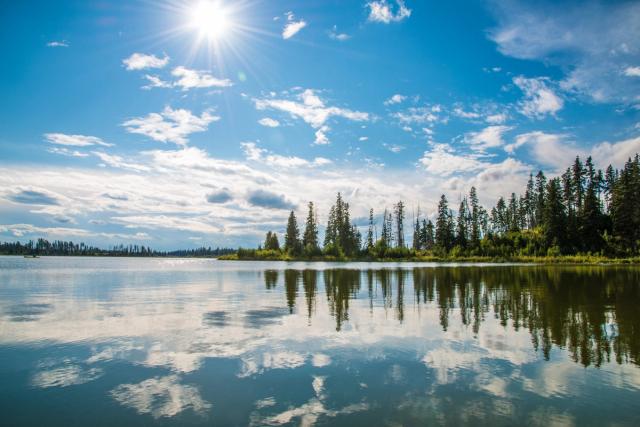 Reflection of trees in the lake under a blue sky in Elk Island National Park.