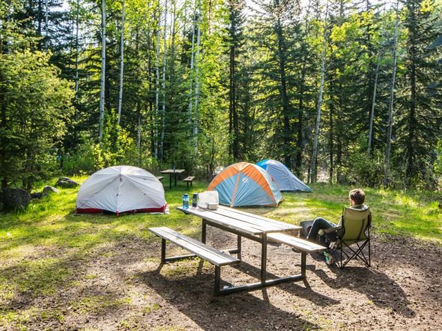 Two colorful tents and a picnic table set up in a sunny forest clearing.