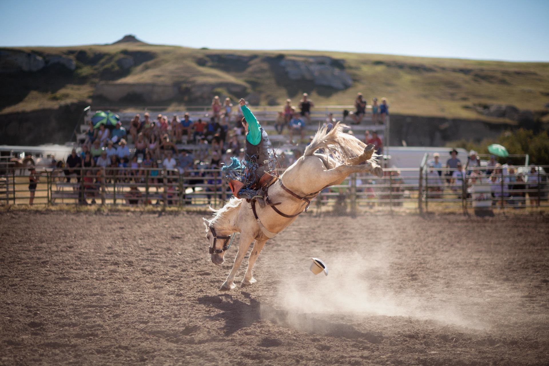 Rodeo rider on bucking horse in dirt arena, hat flying, crowd watching.