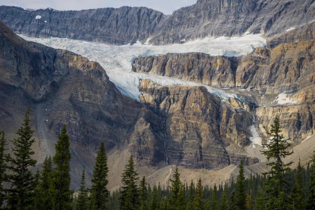 Crowfoot Glacier.