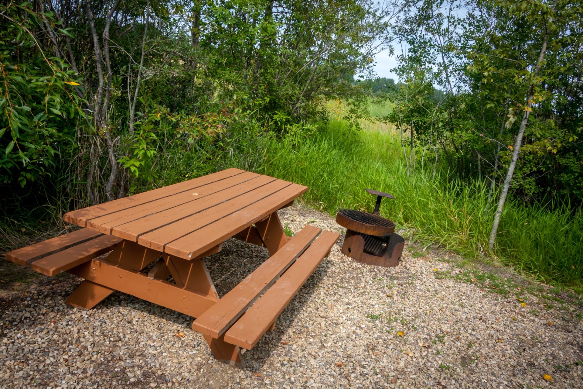 Wooden picnic table and metal fire pit on gravel beside tall green grass.
