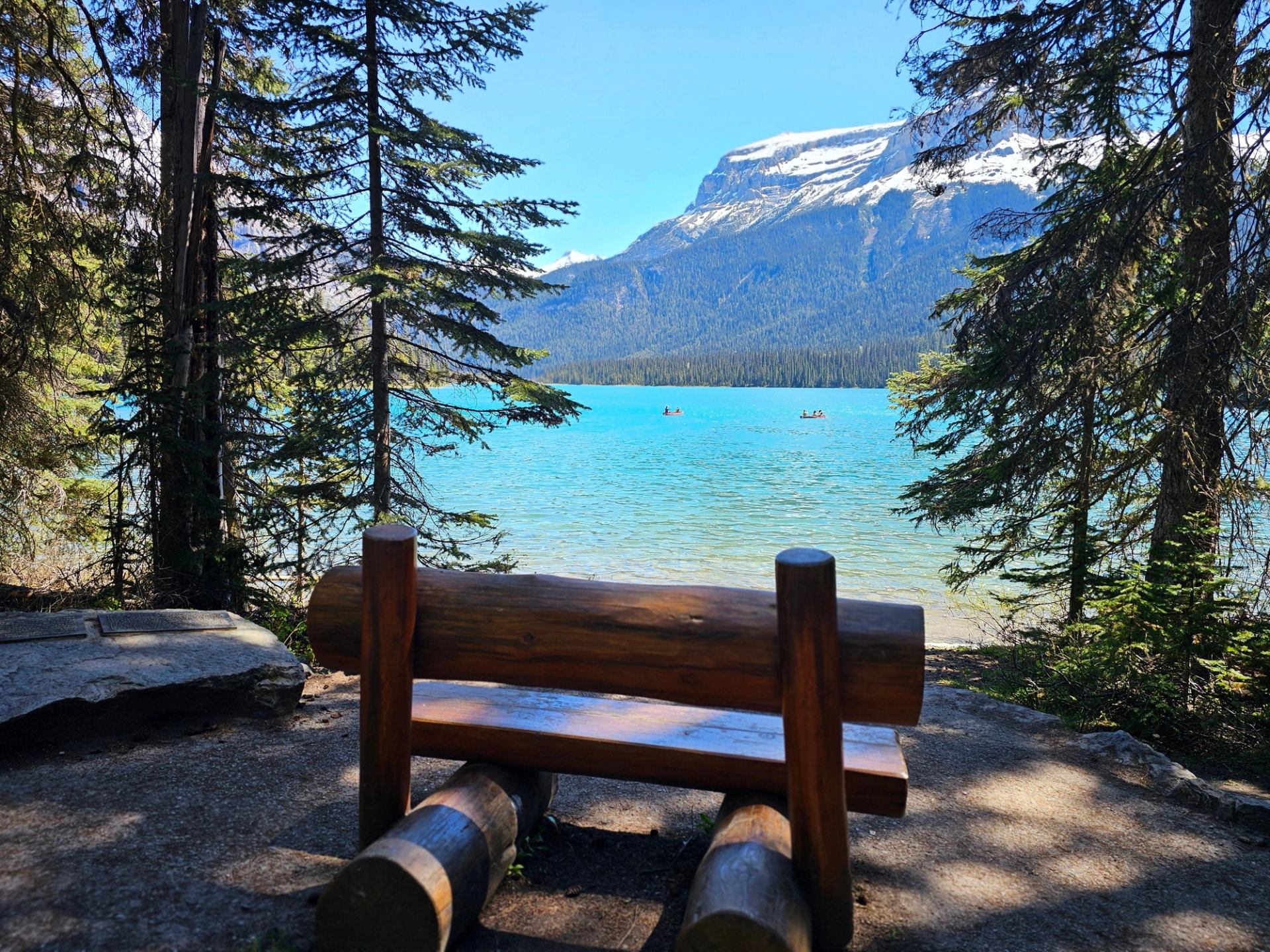 Wooden lakeside bench facing turquoise water, framed by evergreen trees and snowy mountain.