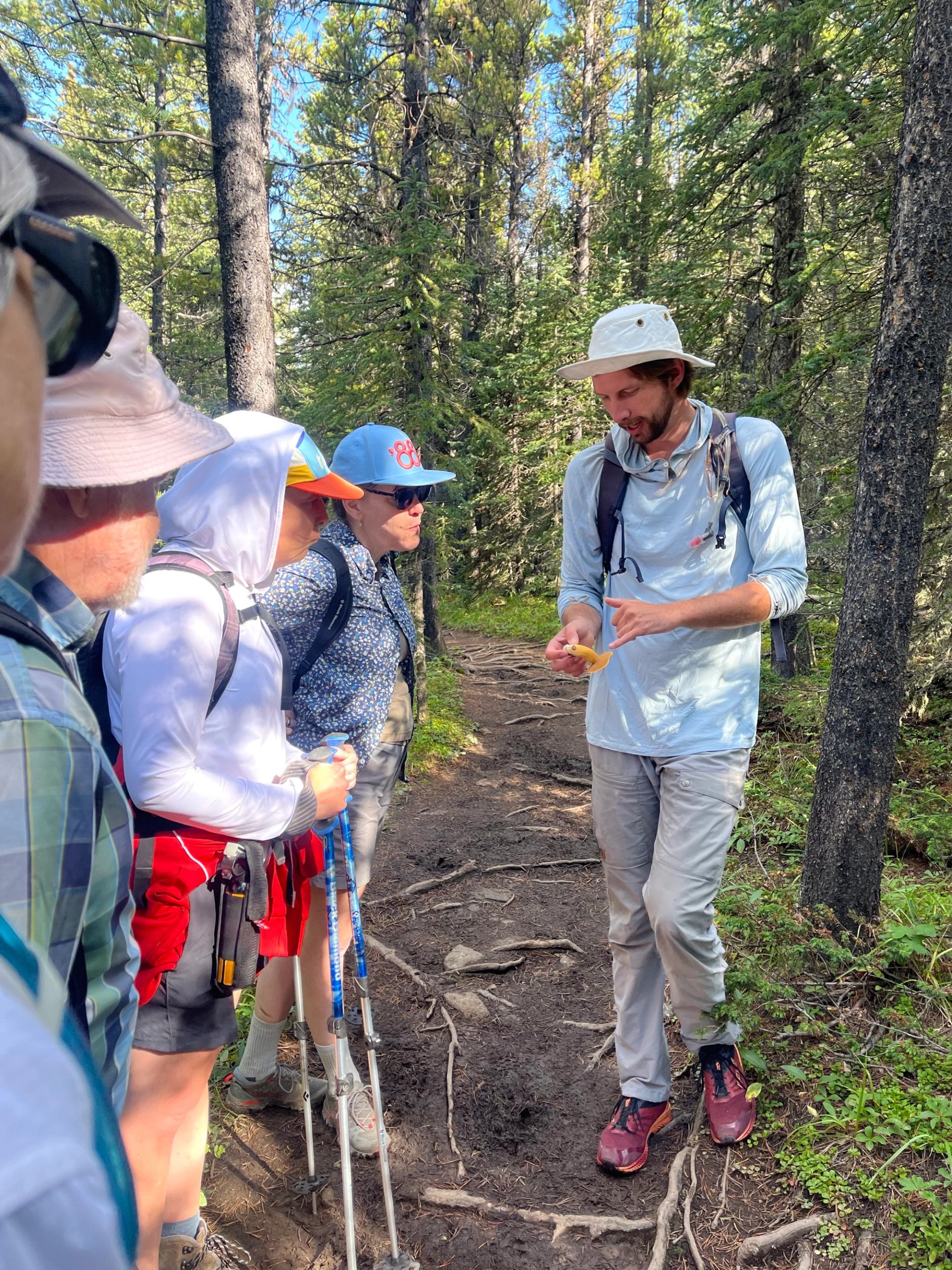 Hiking guide shows an object to group standing on forest trail among tall trees.