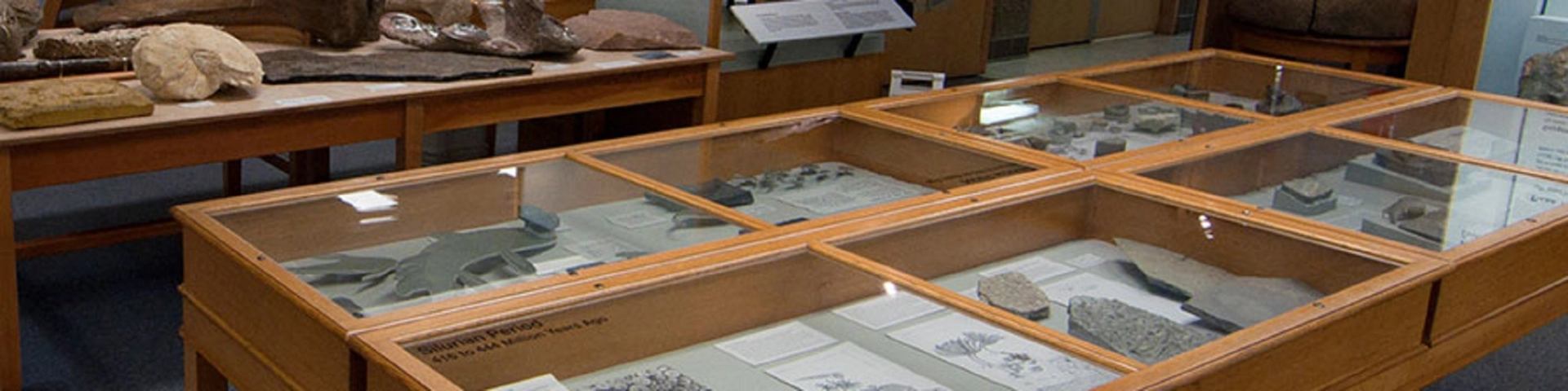 Glass-topped wooden display cases with rock samples and labels inside a museum.