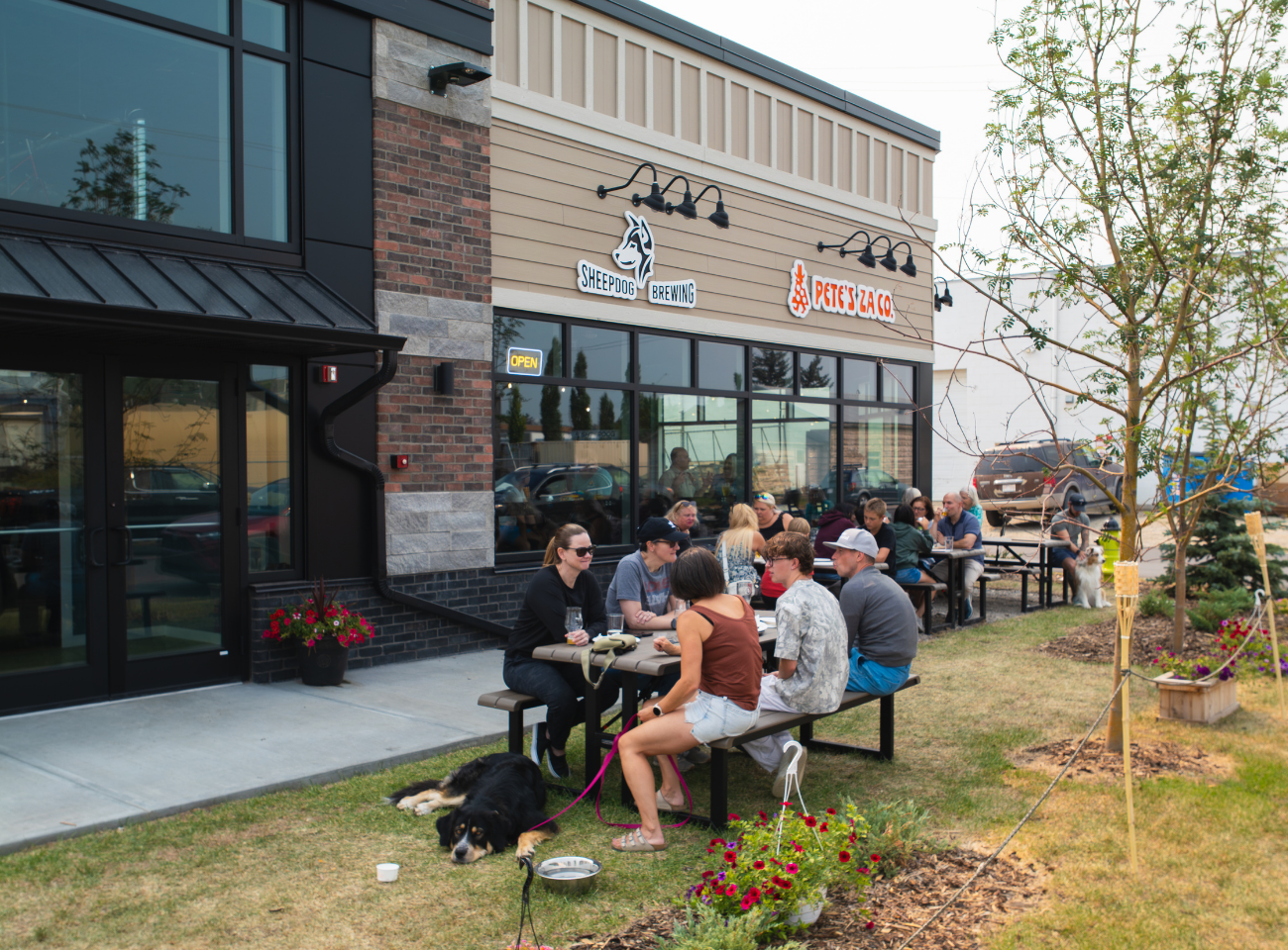 Patrons and dogs gather at picnic tables outside Sheepdog Brewing and Pete's Za Co.