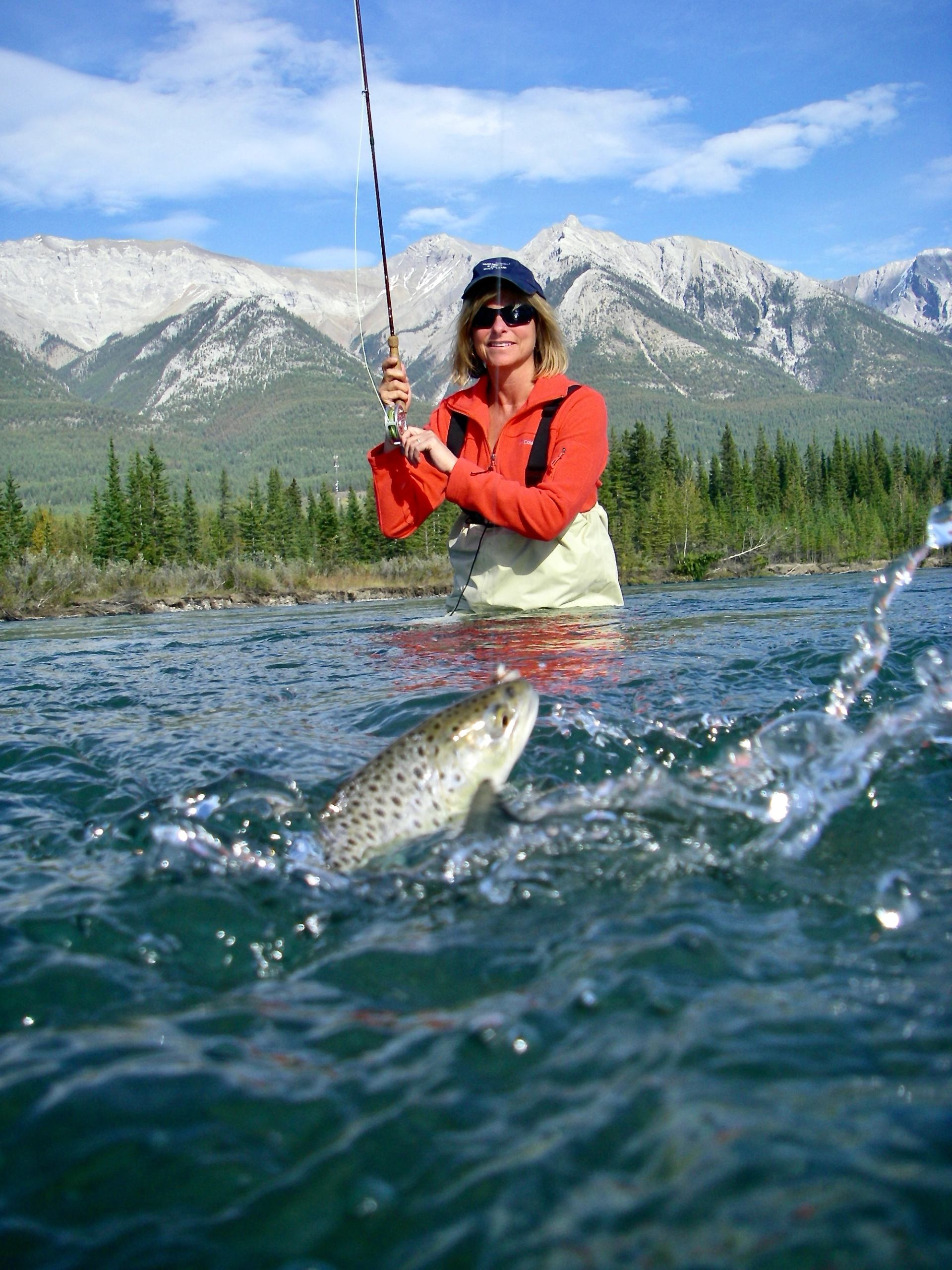 Fly fisher stands in river as trout splashes near surface, mountains in background.