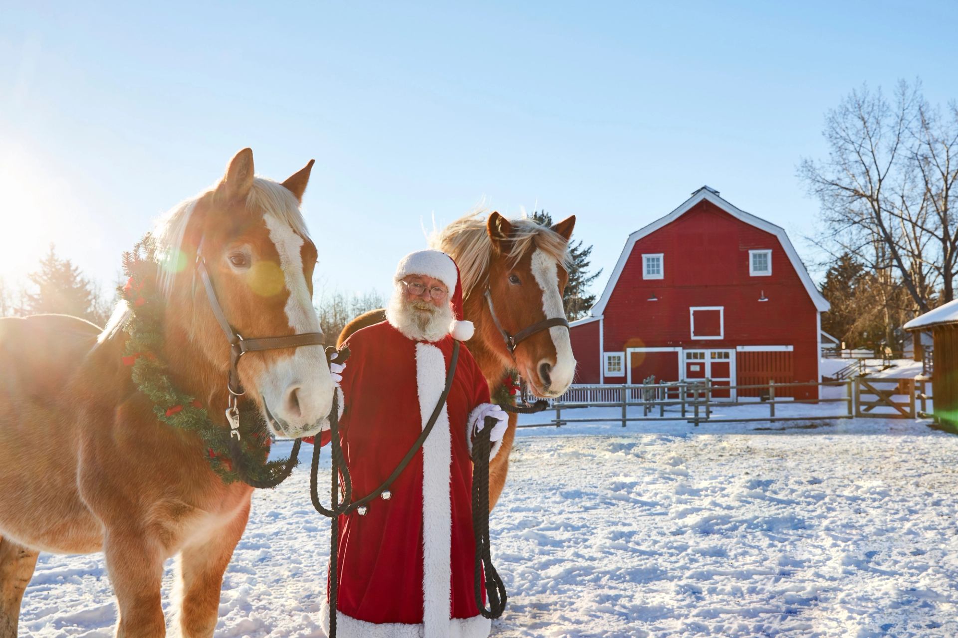 Santa stands with two horses in front of a bright red barn on a snowy winter day.