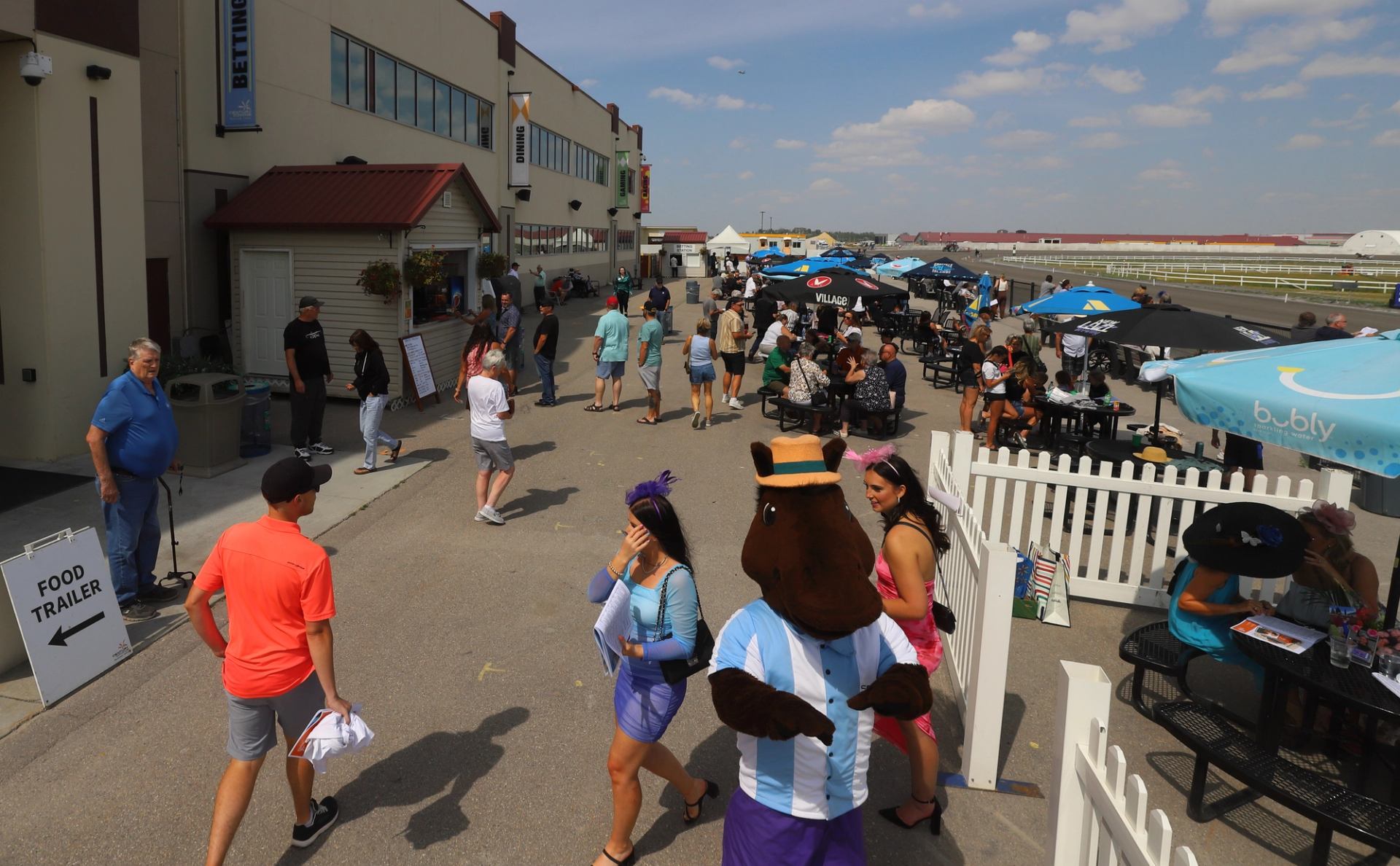 A dynamic shot capturing the excitement and energy of a thrilling race day at Century Downs Racetrack.