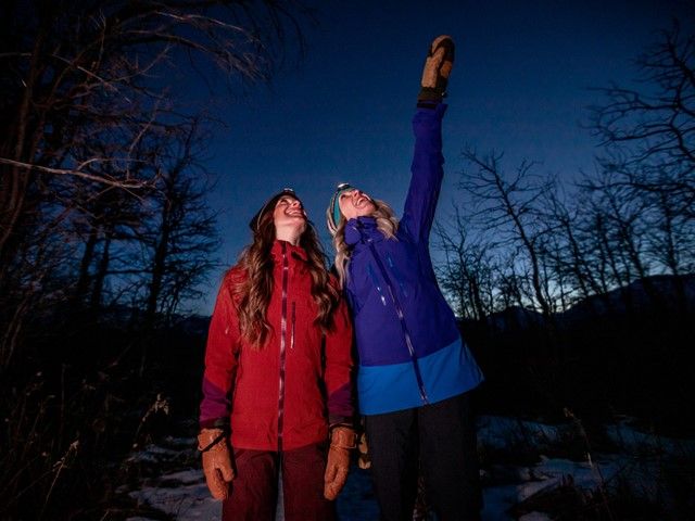 People looking up at night sky on a Dark Sky Guides tour.