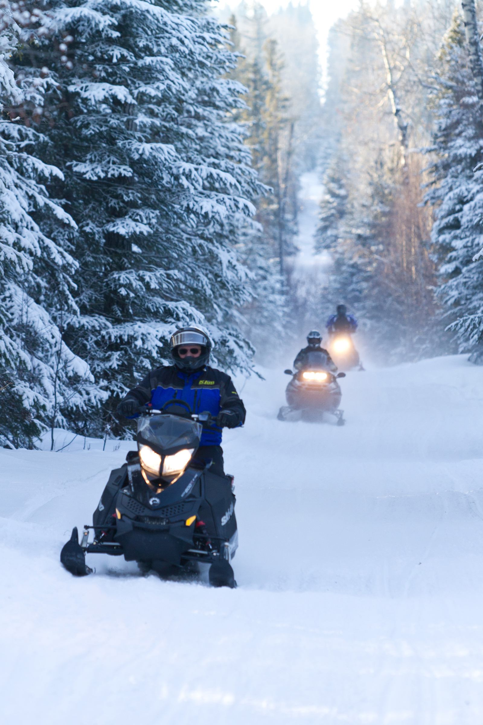 A group of three snowmobilers make their way through the wintery trees while snowmobiling in Whitecourt