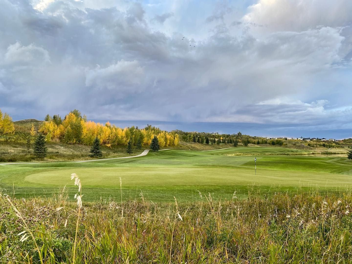 Golf green surrounded by fall trees under a dramatic cloudy sky.