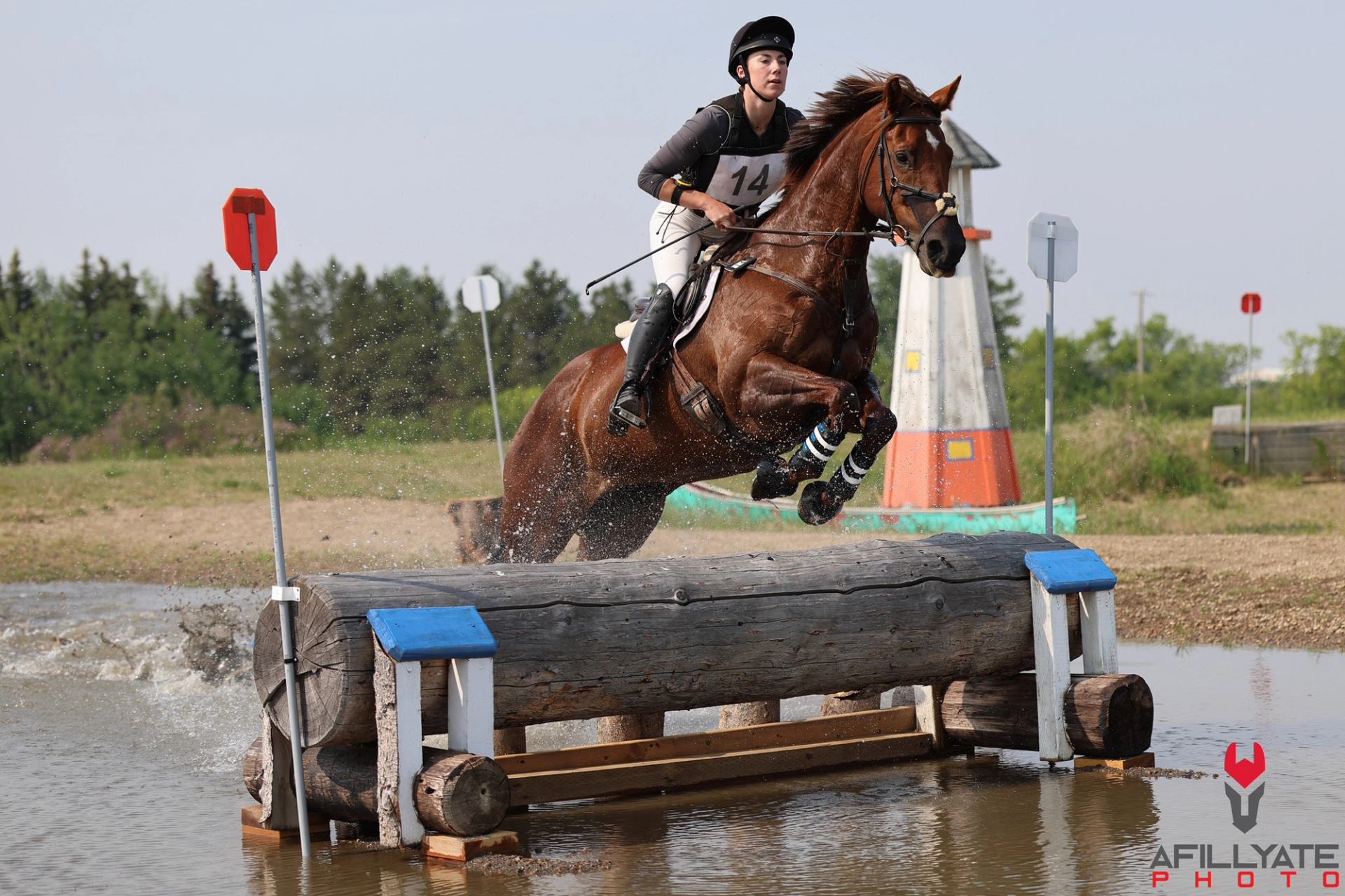 Eventing rider clears water jump on chestnut horse