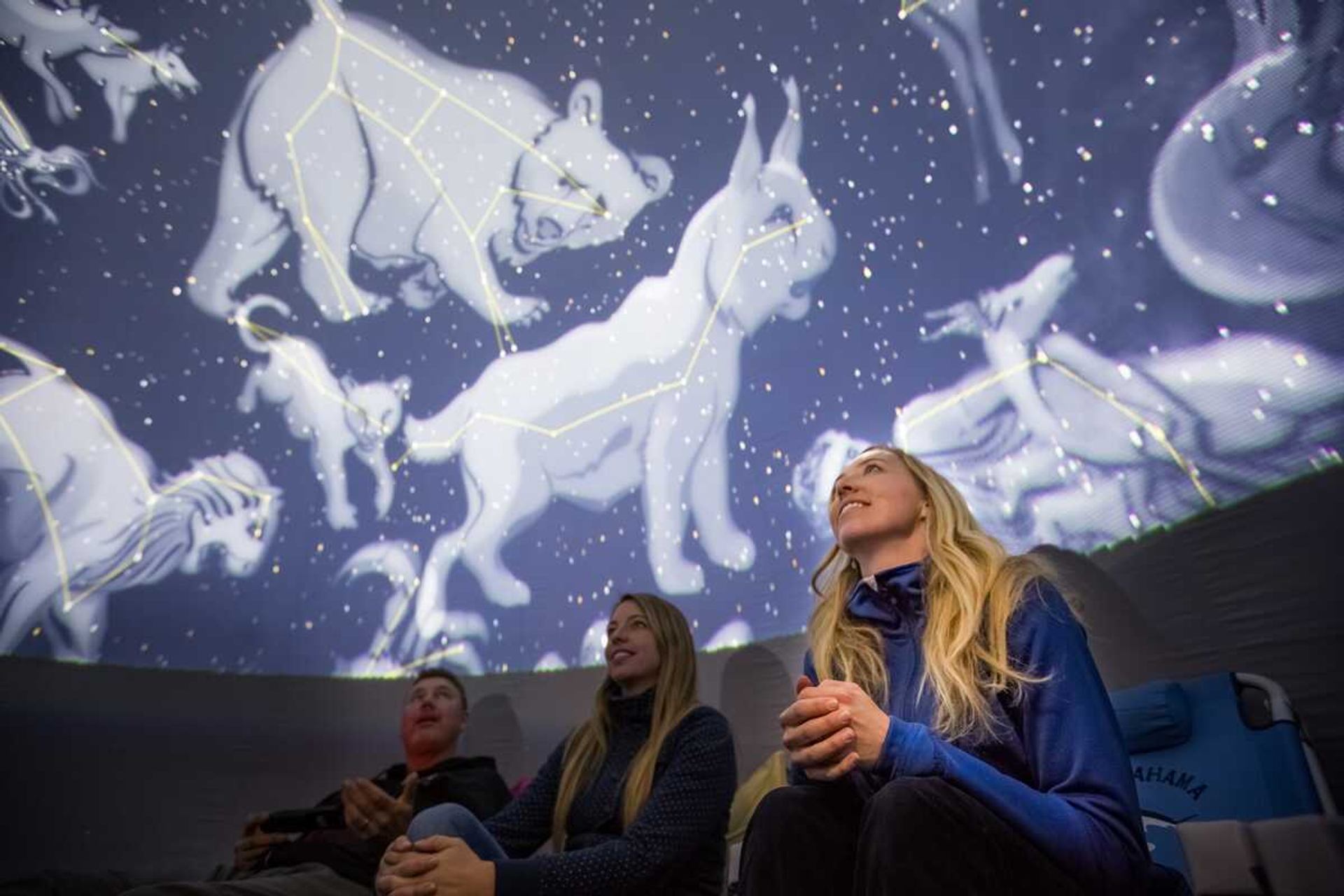 Planetarium visitors sit beneath projected animal constellations and star patterns on domed ceiling.