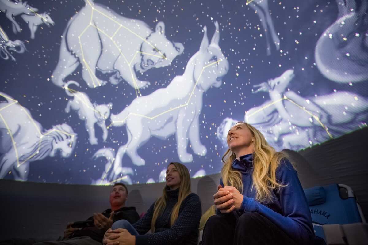 Planetarium visitors sit beneath projected animal constellations and star patterns on domed ceiling.